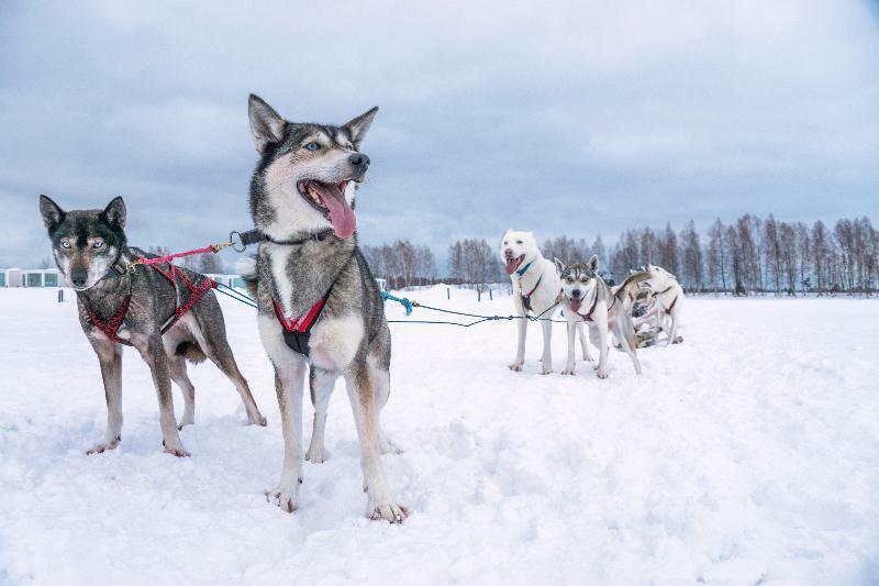 Snow Hotel Kemi Eksteriør bilde