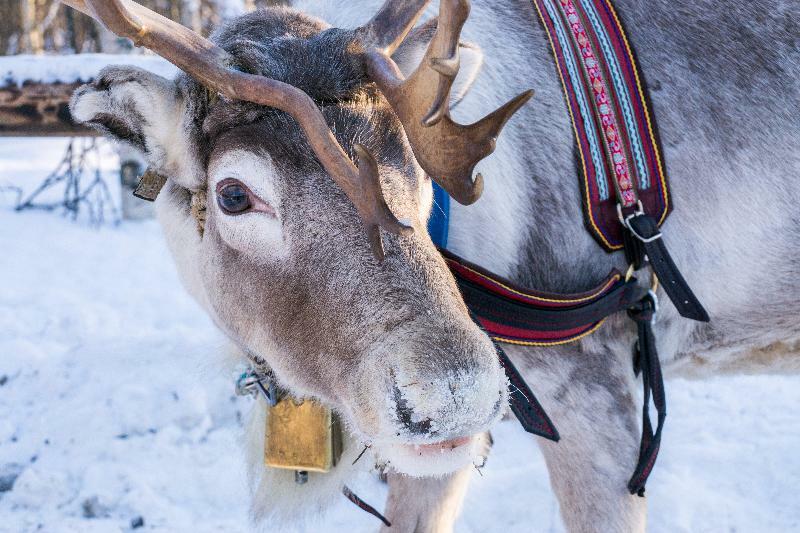 Snow Hotel Kemi Eksteriør bilde